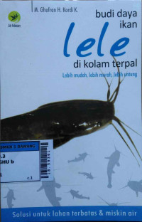 Budi daya ikan lele di kolam terpal