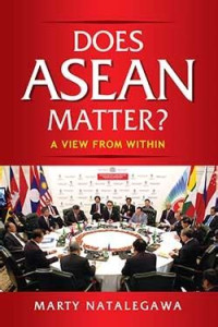 Image of Does ASEAN matter? a view from within (BI)