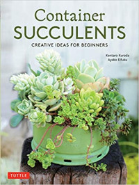 Image of Container succulents creative ideas for beginners (BI)