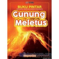 Buku pintar mengenal bencana alam di indonesia : gunung meletus